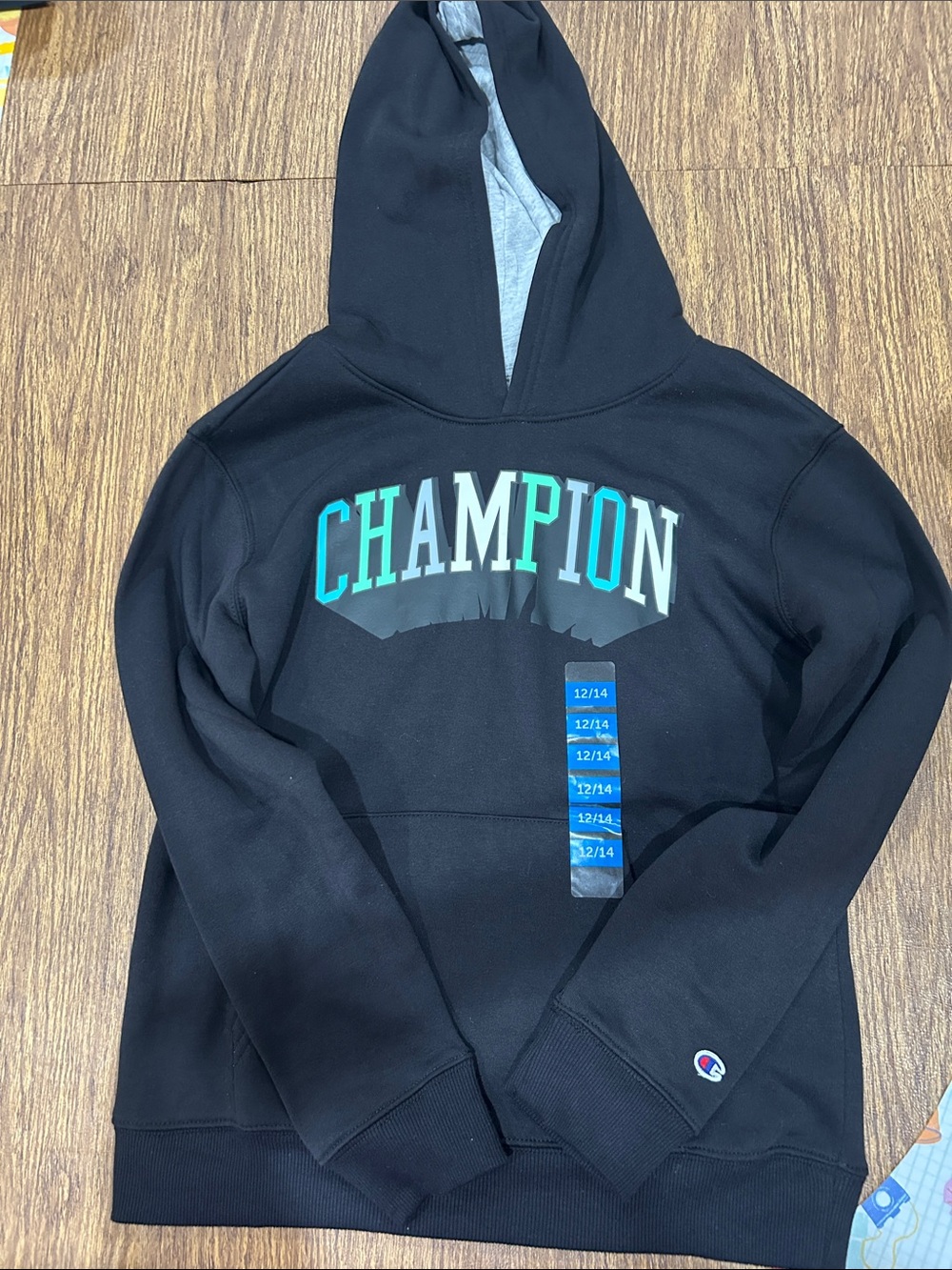 Champion Black Hoodie with Teal and White Arch Logo
